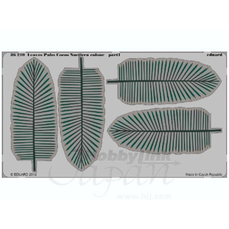 1/35 Palm Coconut Leaves Nucifera Colour