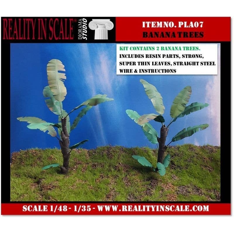 Banana Trees (2)