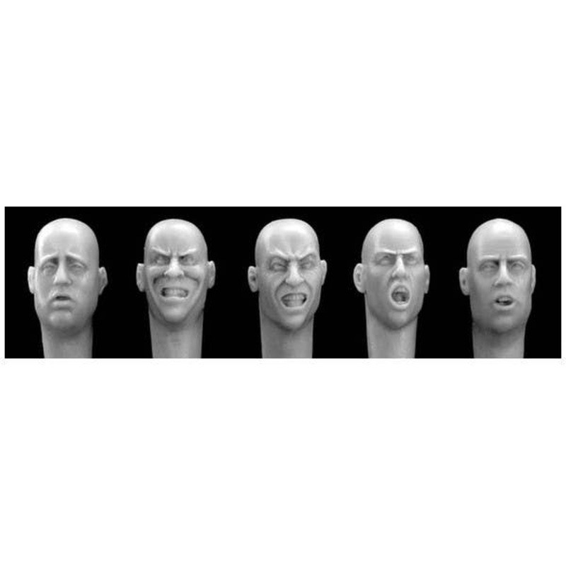 1/35 5 Different European Heads with Open Mouths