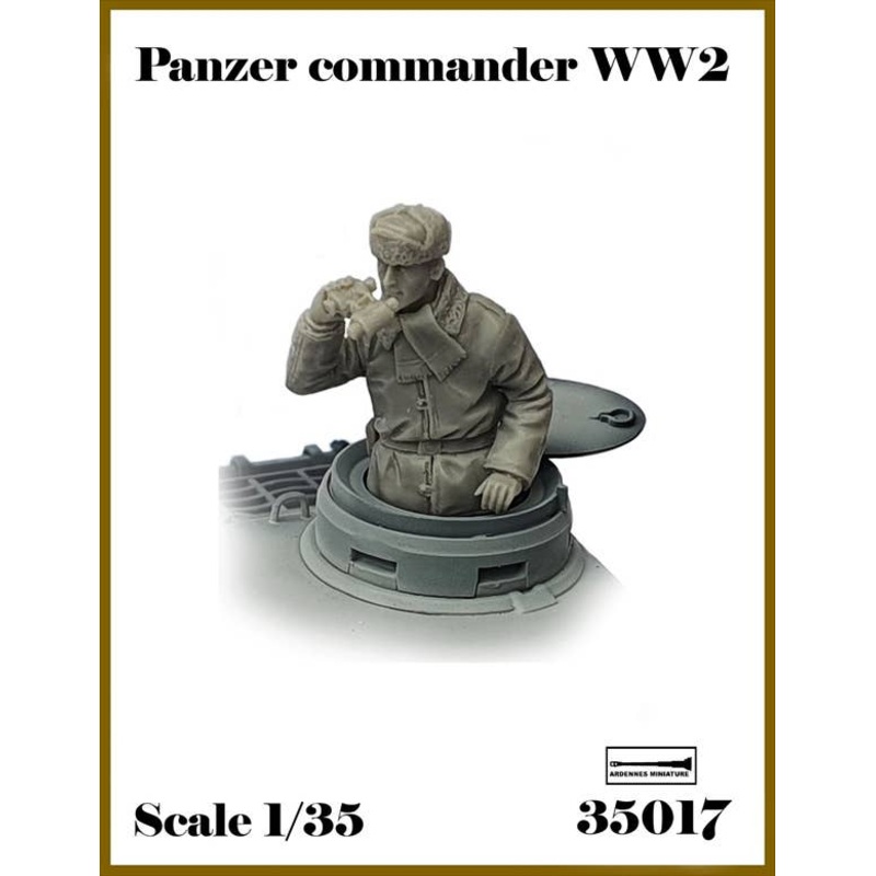 1/35 WWII German Soldier #3 Commander inspecting the front (1pcs)