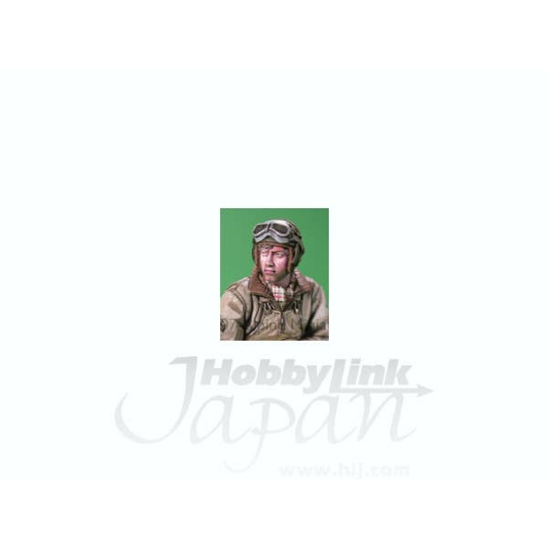 1/35 US Tank Crew in Winter #2 (w/2 heads)