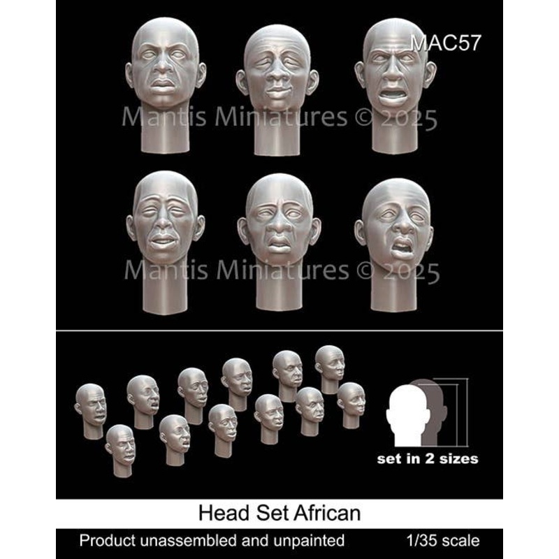 1/35 Head Set African