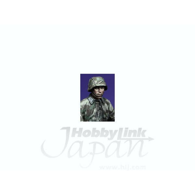 1/35 SdKfz 251 Driver