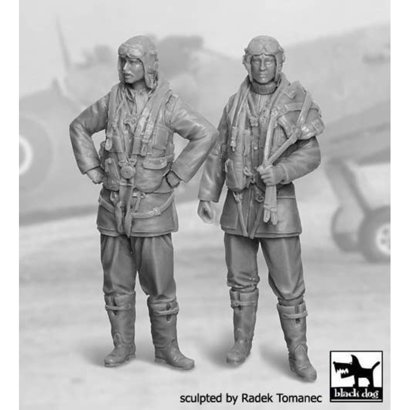 1/32 RAF Pilots Set 1940-1945