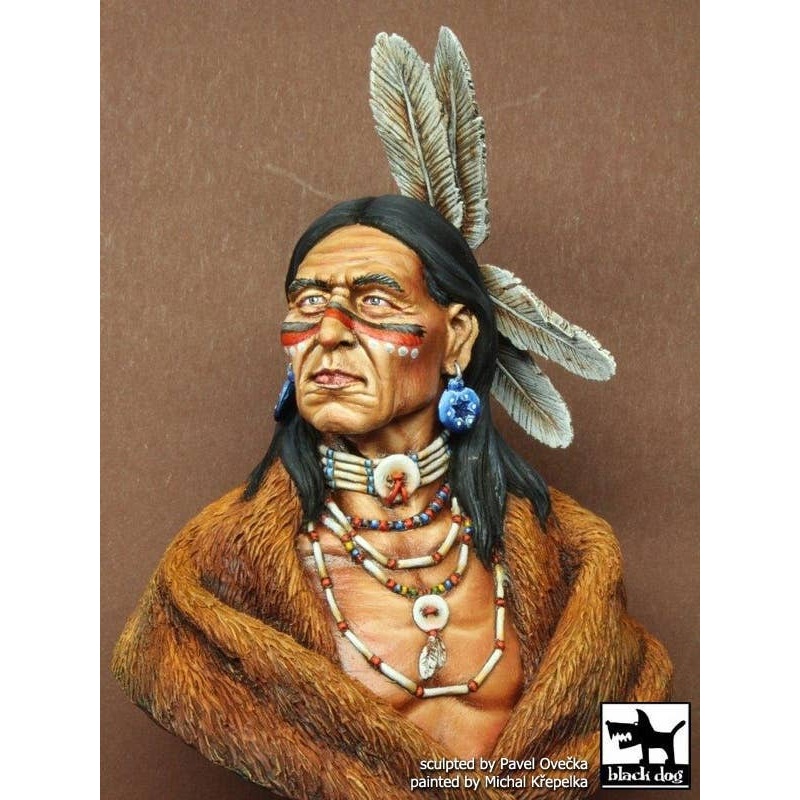 1/10 Sioux Lakota
