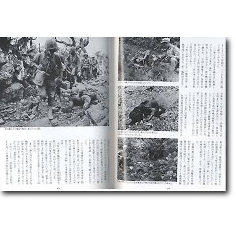 Battle of Okinawa