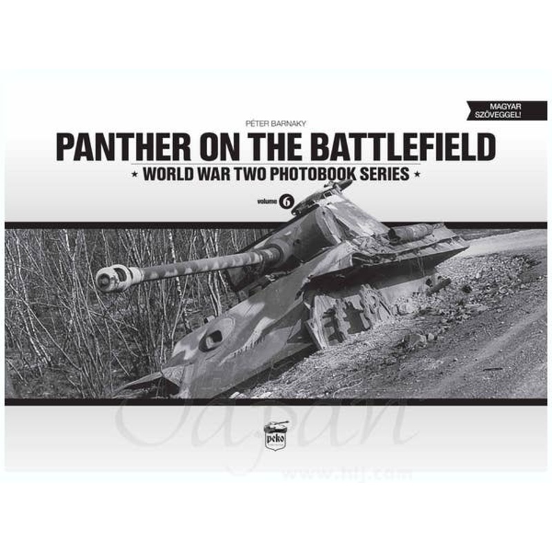 Panther On The Battlefield Volume 6