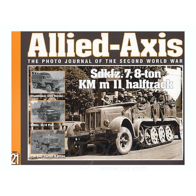 Allied-Axis #21