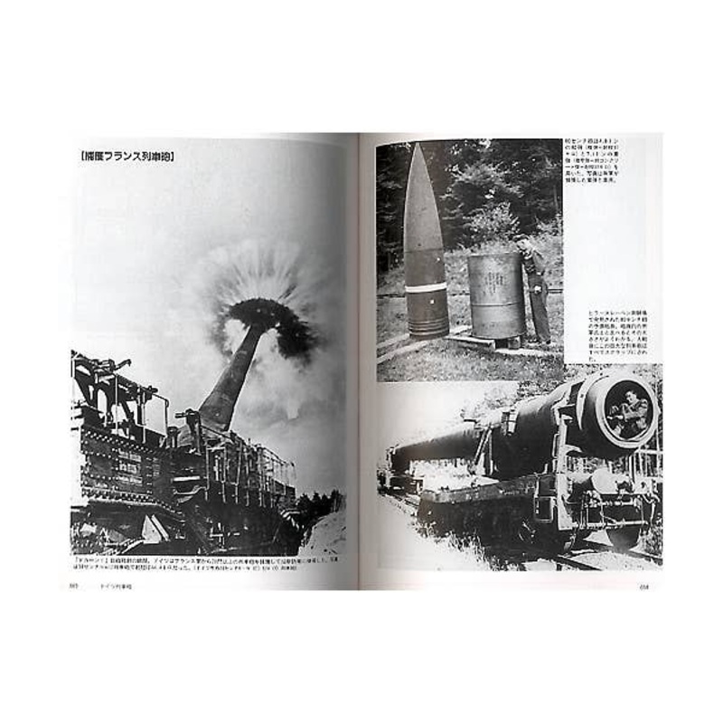 German Railway Guns and Armored Trains of World War II