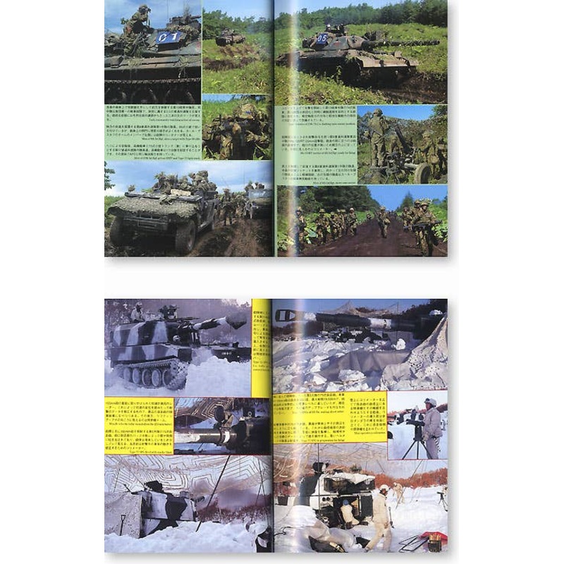 Panzer 2006/11