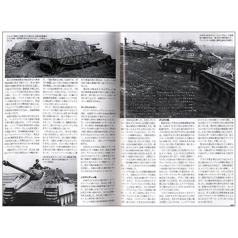 Schwere Jagdpanzer Model Painting Manual