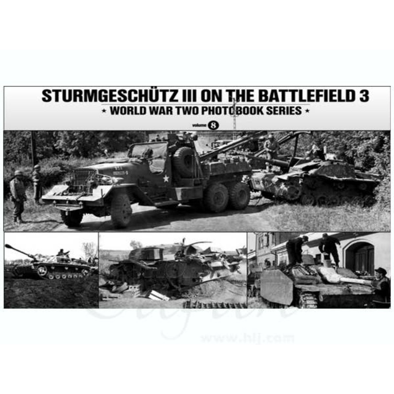 Sturmgeschutz III On The Battlefield 3
