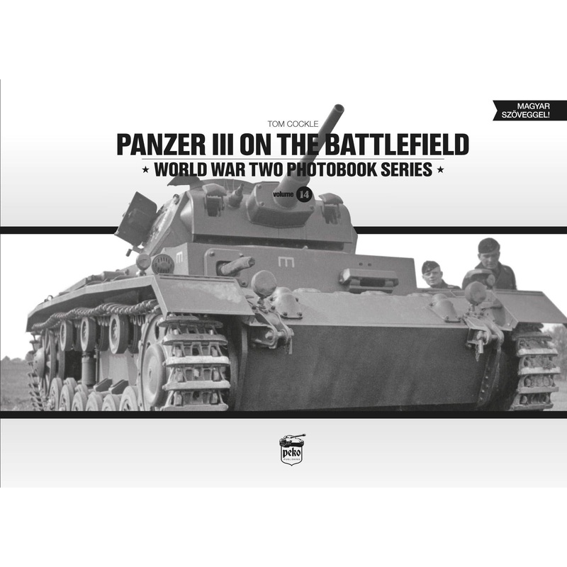 Panzer III On The Battlefield