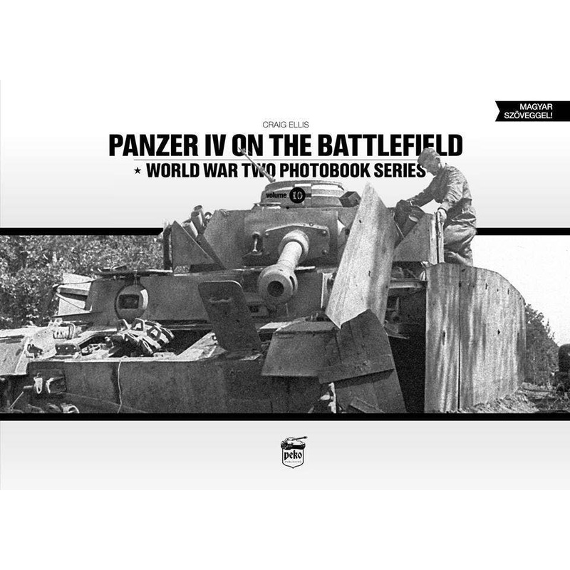 Panzer IV on the Battlefield