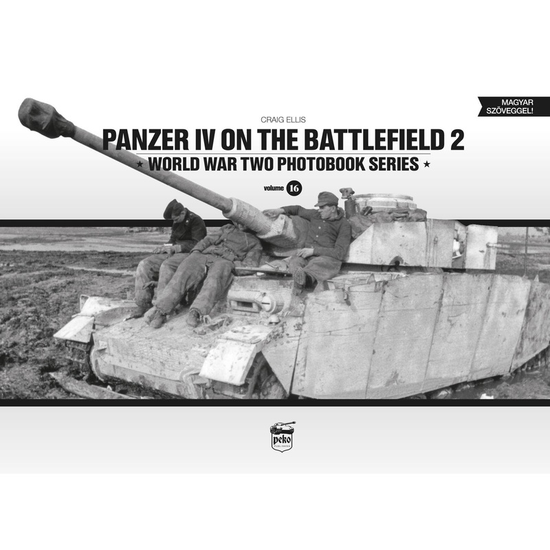 Panzer IV on the Battlefield 2
