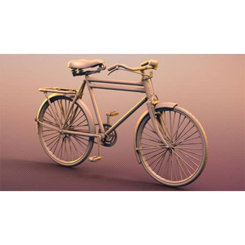 1/48 Men's Bicycle