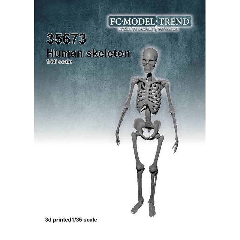 1/35 Human Body Skeleton