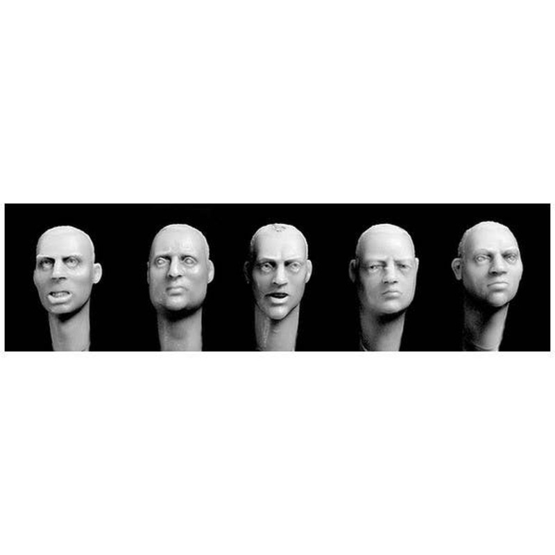 1/35 5 European heads with defined irises, stubble haircuts.