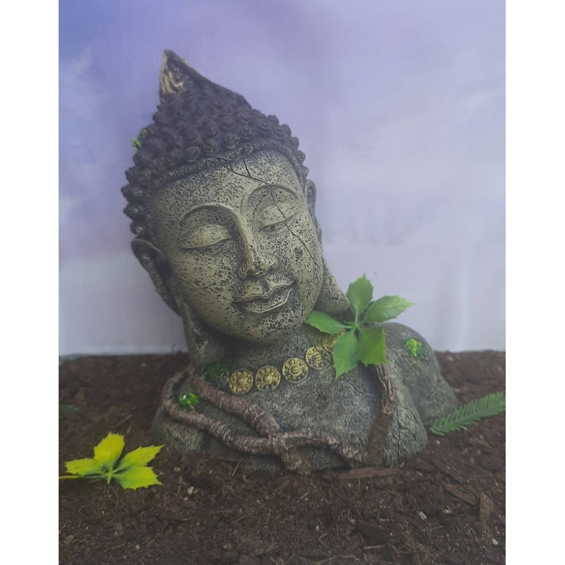 1/35 Buddhist Ruins in the Jungle