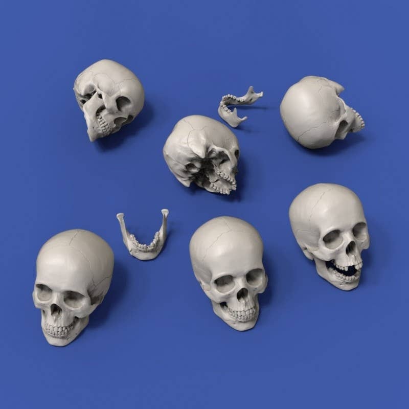 1/24 Skull (75mm) 6 Pieces