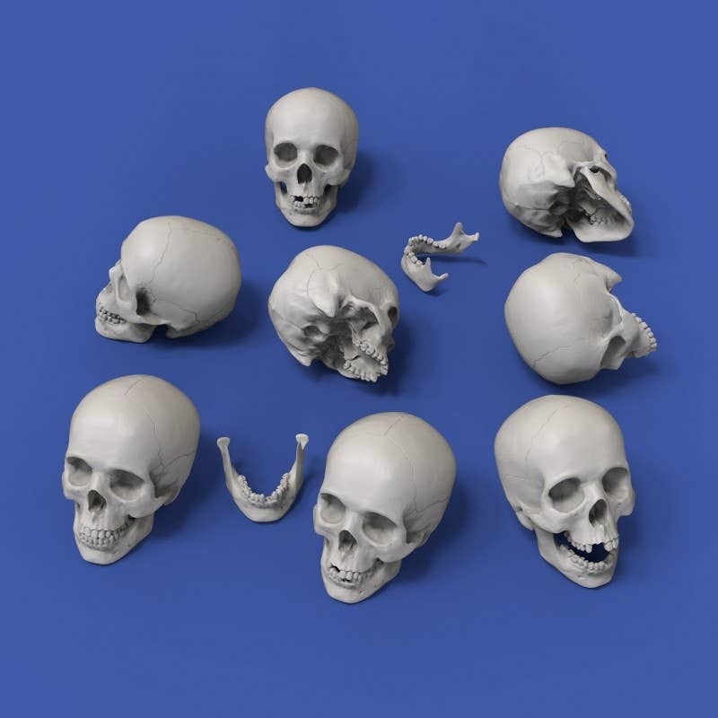 1/32 Skull (54mm) 8 Pieces