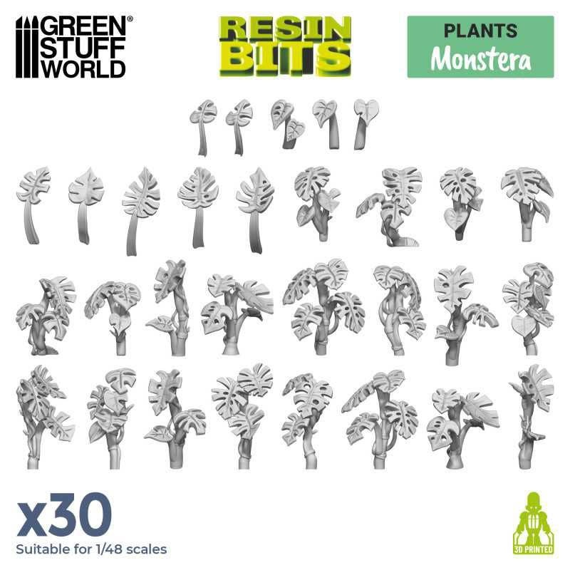 3D Print Set - Monstera