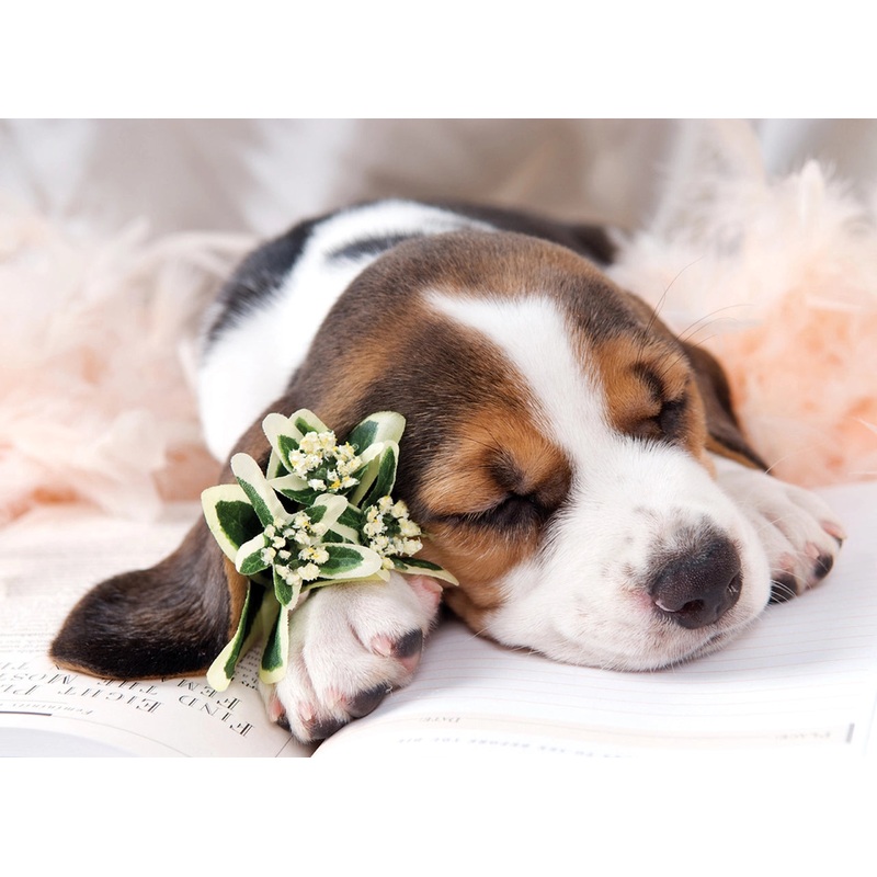 Basset Hound 300 PC | TOM30-052BH | Tomax