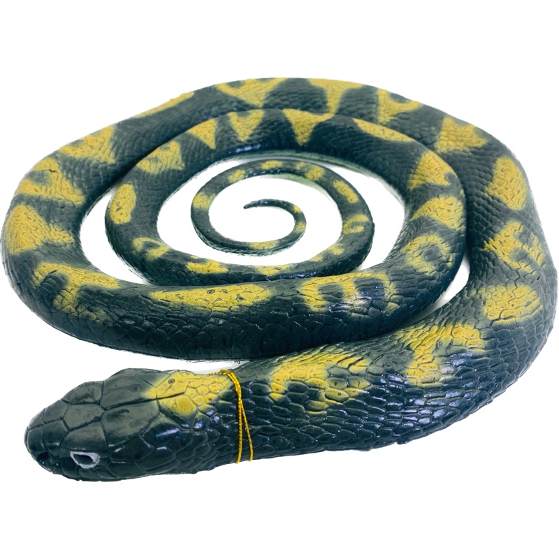 Adult Python Snake 62" | MAJ22203 | Mamejo