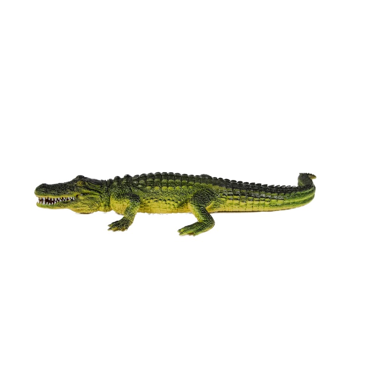 American Alligator 16" | MAJ22387 | Mamejo
