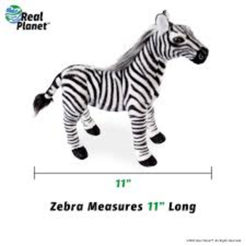 Zebra ( White ) | ZA28D | Real Planet