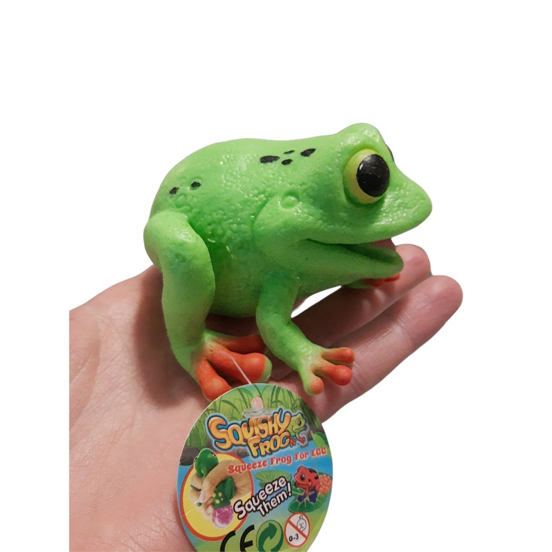 Water Beads Squishy Frog | WBSF | Faire
