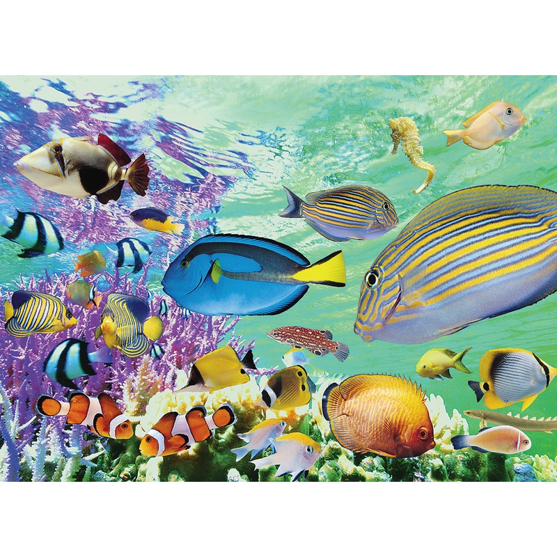 Tropical Marine 500 PC | TOM50-032 | Tomax