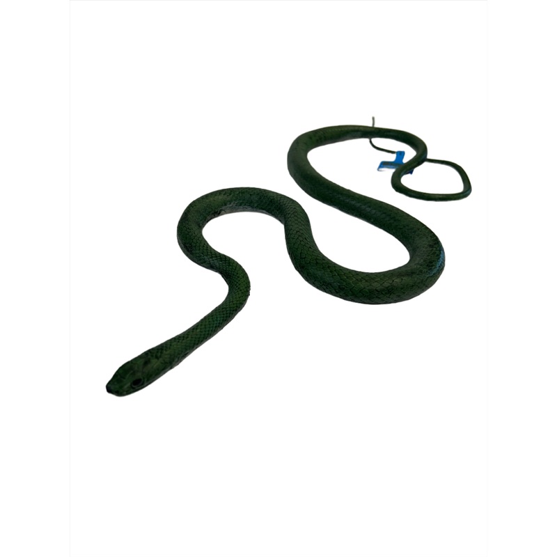 Rat Snake Green | MAJ22210 | Mamejo