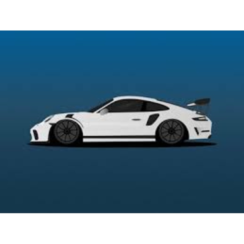Porsche 911 Gt3 1:14 | RAS75900W | Rastar