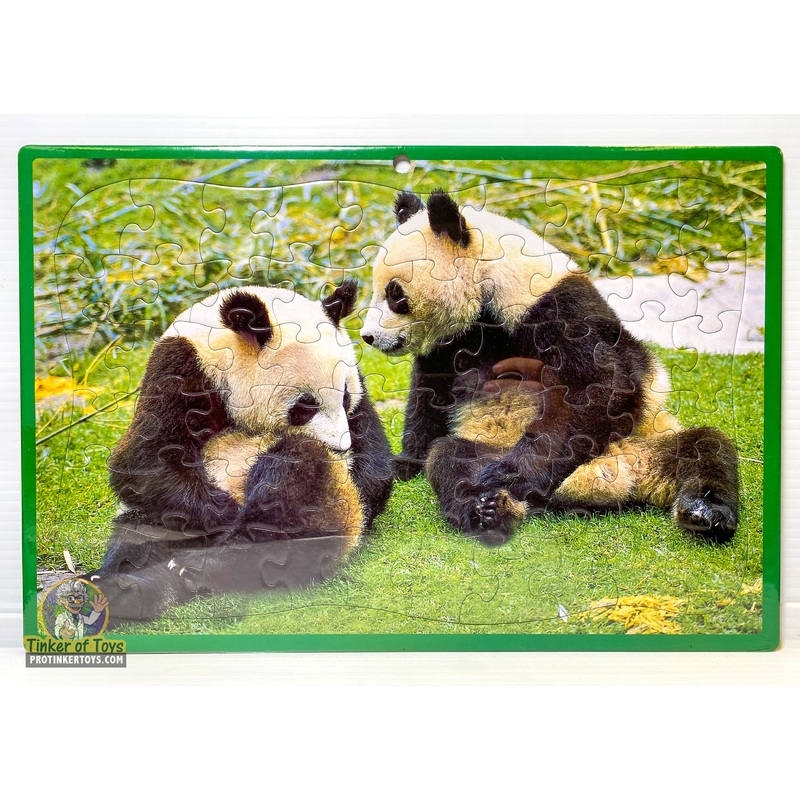 Pandas | 60004 | Timmy