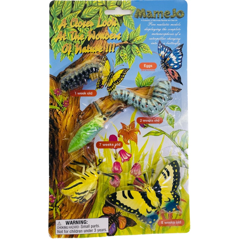 Monarch Butterfly Metamorphosis Set | MAJ12830 | Mamejo