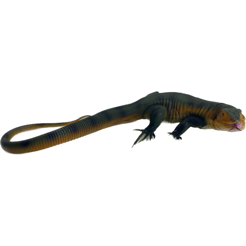 Large Green Tegus 20" | MAJ22250 | Mamejo