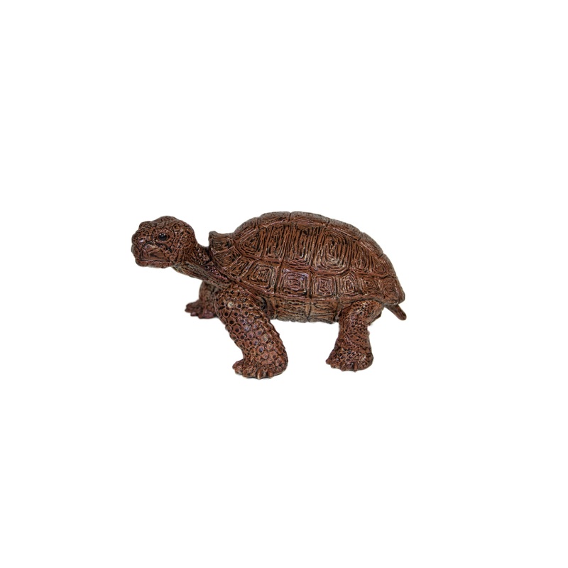 Large Tortoise 5.5" | MAJ22237 | Mamejo