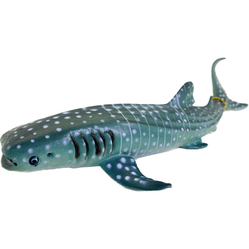 LG Whale Shark 9" | MAJ12214 | Mamejo