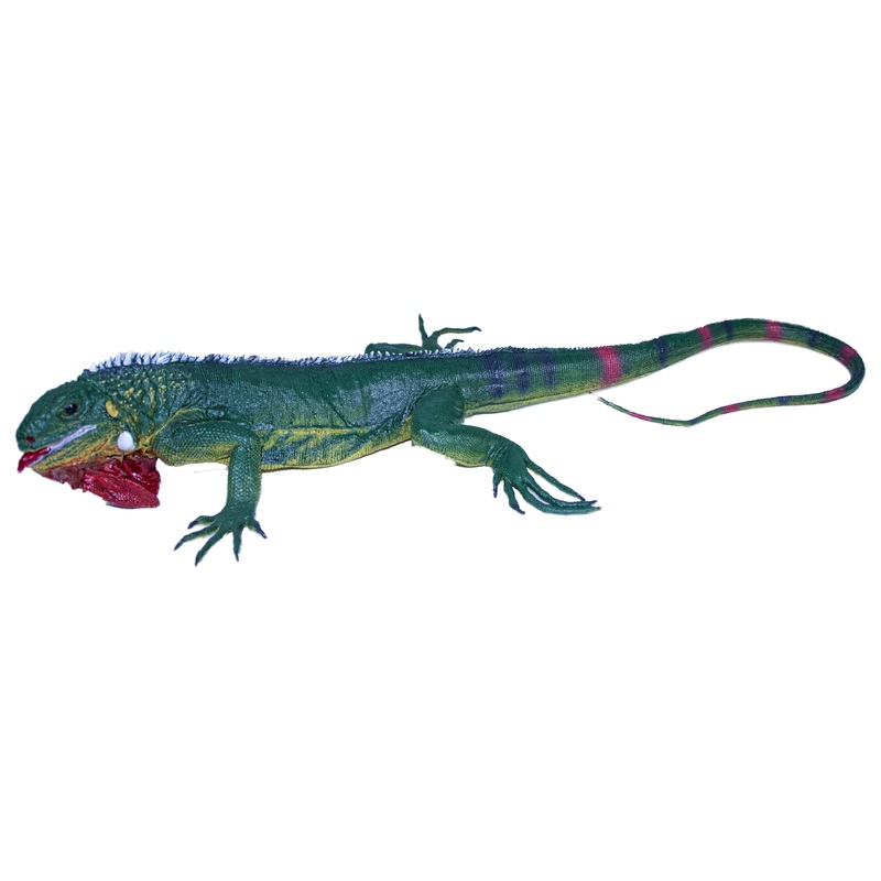 Jumbo Iguana 40" | MAJ22221 | Mamejo
