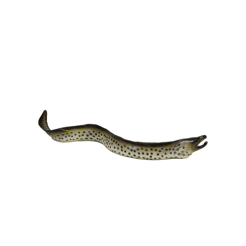 Jumbo White Eel Spotted 20" | MAJ12216 | Mamejo