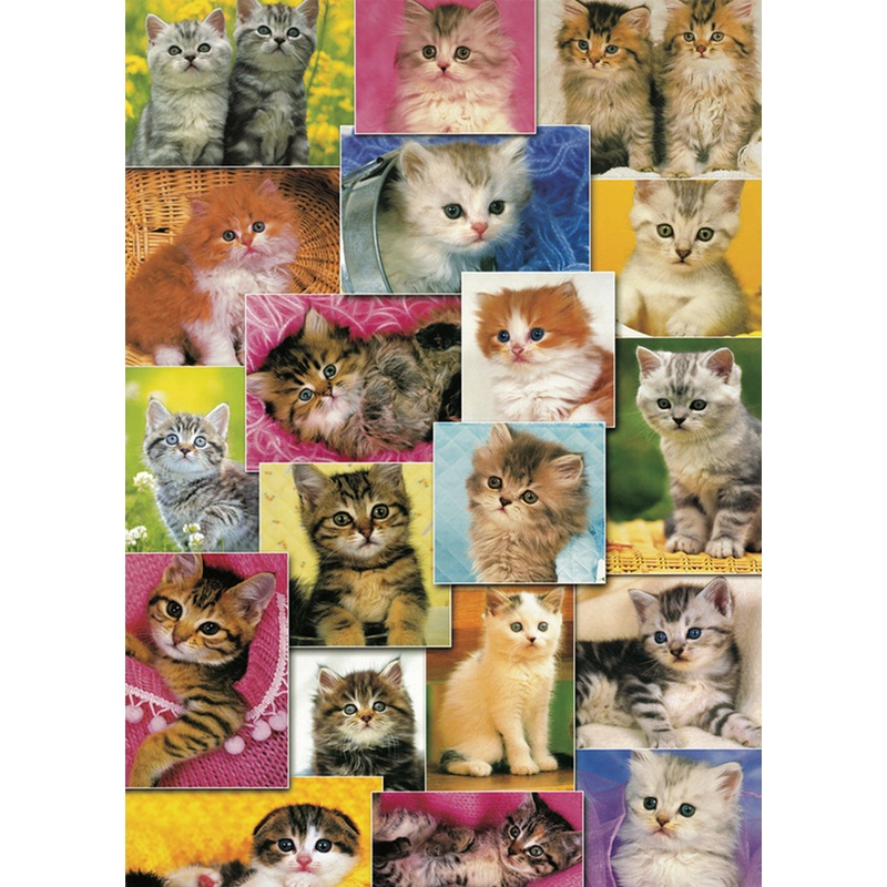 Kittens 1000 PC | PLF1255 | PuzzleLife