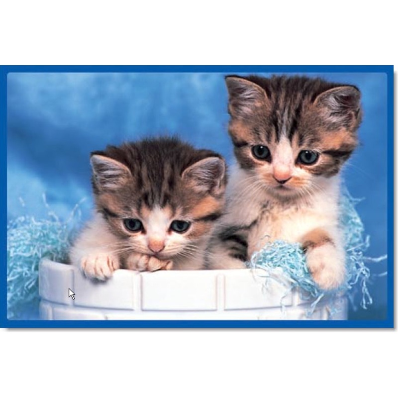 Kittens 60 PC | TOM60-006 | Tomax