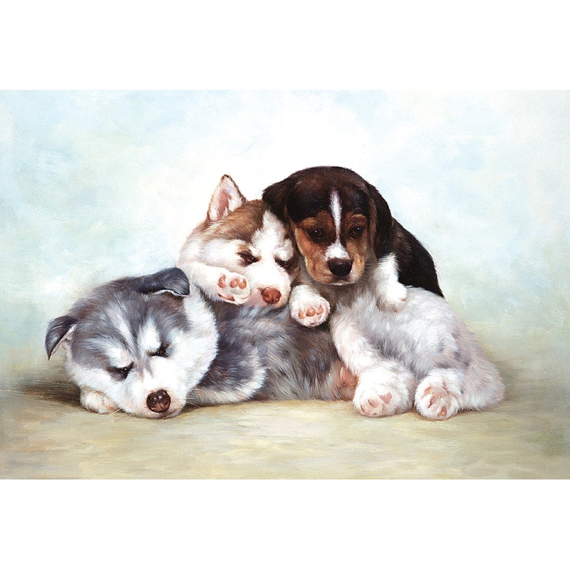 Friends 300 PC | TOM30-008 | Tomax