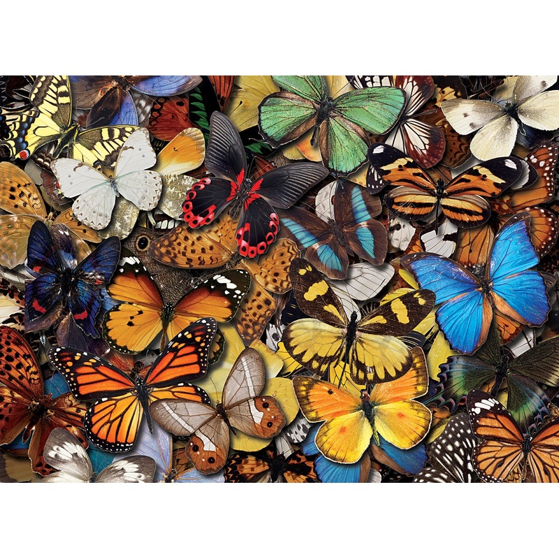 Flying Colors 500 PC | TOM50-110 | Tomax