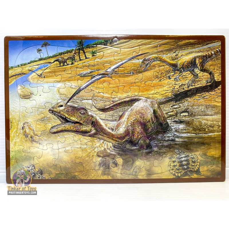 Dinosaurs | 60009 - 60013 | Timmy