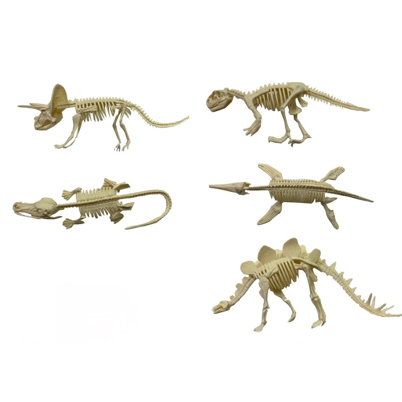Diy Assembly Dinosaur | 88884 | BVP