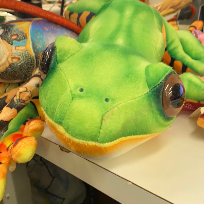 17" Tree Frog (Tiger Legged) | R-TF45T | Real Planet