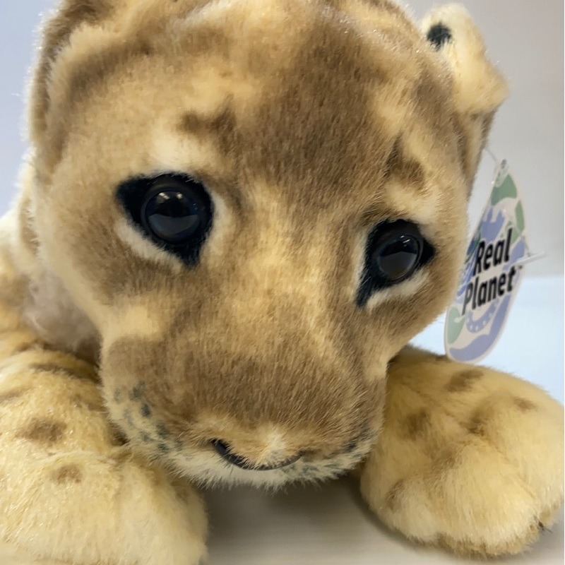 19" Baby Groveling Lioness | LC48 | Real Planet