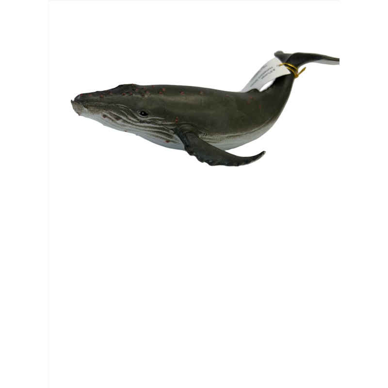 10.5 Large Blue Whale | MAJ12215 | Mamejo